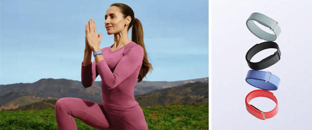 Google fitbit air